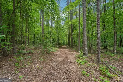 164 Vaughn Road, Newnan, GA 30265 - Photo 65