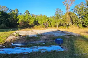 596 Arnett School Rd, Sylvania, GA 30467 - Photo 17