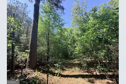 580 Saggus Road, Washington, GA 30673 - Photo 37