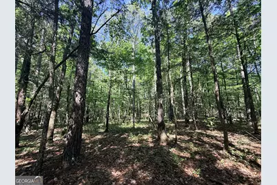 580 Saggus Road, Washington, GA 30673 - Photo 25