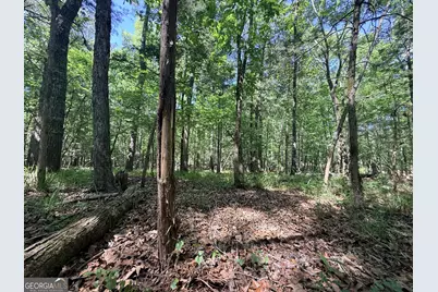 580 Saggus Road, Washington, GA 30673 - Photo 27