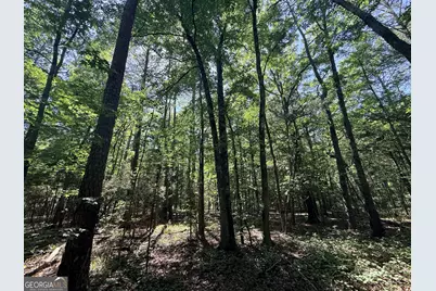 580 Saggus Road, Washington, GA 30673 - Photo 31