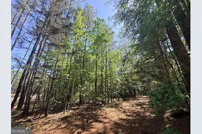 580 Saggus Road, Washington, GA 30673 - Photo 19