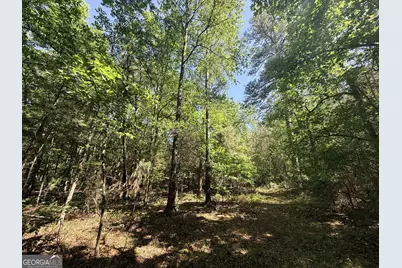 580 Saggus Road, Washington, GA 30673 - Photo 35