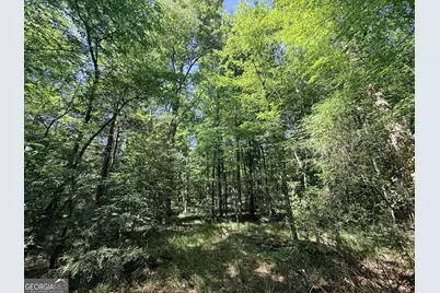 580 Saggus Road, Washington, GA 30673 - Photo 39