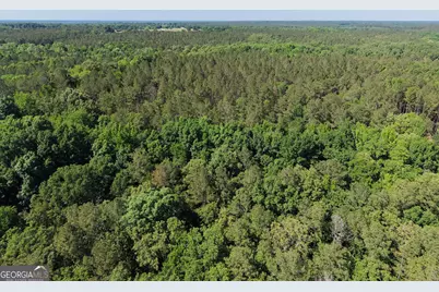 580 Saggus Road, Washington, GA 30673 - Photo 13