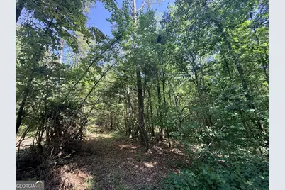 580 Saggus Road, Washington, GA 30673 - Photo 45