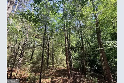580 Saggus Road, Washington, GA 30673 - Photo 21
