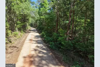 580 Saggus Road, Washington, GA 30673 - Photo 17