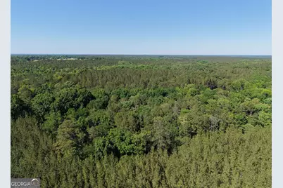 580 Saggus Road, Washington, GA 30673 - Photo 15