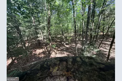 580 Saggus Road, Washington, GA 30673 - Photo 33