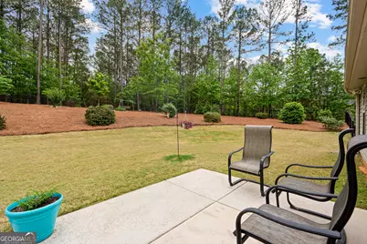 29 Concord Court, Senoia, GA 30276 - Photo 33
