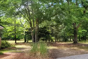 5321 S Hwy 15, Siloam, GA 30665 - Photo 41