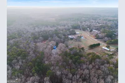 229 Meadows Road, Newborn, GA 30056 - Photo 39