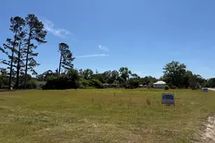 00 Elton St, Hazlehurst, GA 31539 - Photo 1
