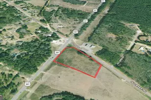 0 Hwy 301 N & Old River Rd, Statesboro, GA 30461 - Photo 1