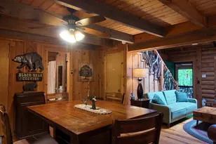 192 Wilderland Trail, Helen, GA 30545 - Photo 11