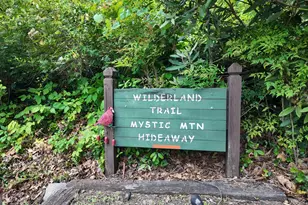 192 Wilderland Trail, Helen, GA 30545 - Photo 43
