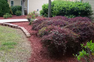 1844 Peeksville Rd, Locust Grove, GA 30248 - Photo 39