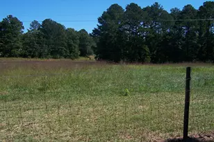 1844 Peeksville Rd, Locust Grove, GA 30248 - Photo 59