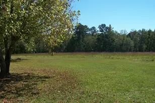 1844 Peeksville Rd, Locust Grove, GA 30248 - Photo 59