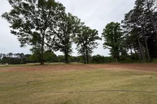 264 Robert Williams Rd, Greenville, GA 30222 - Photo 21