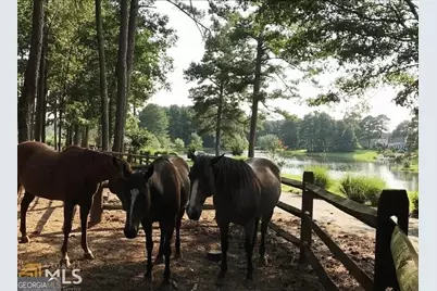 1371 Lipscomb Road, Social Circle, GA 30025 - Photo 61