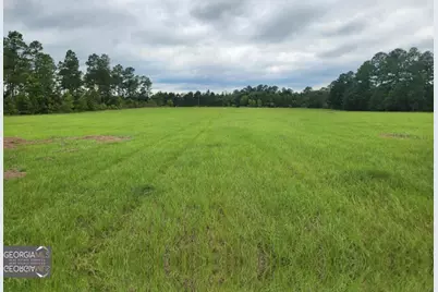 0 Stingray Rd, Mixon Rd, Swainsboro, GA 30401 - Photo 1