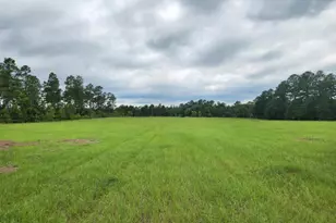 0 Stingray Rd Mixon Rd, Swainsboro, GA 30401 - Photo 1