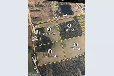 0 Stingray Rd, Mixon Rd, Swainsboro, GA 30401 - Photo 3
