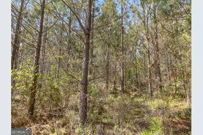 71 +/- Acres On US Hwy 278, Cedartown, GA 30125 - Photo 7