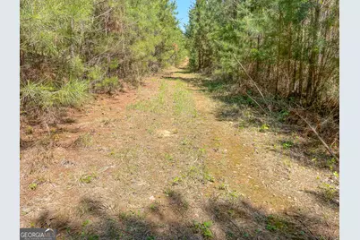71 +/- Acres On US Hwy 278, Cedartown, GA 30125 - Photo 21