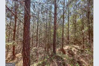 71 +/- Acres On US Hwy 278, Cedartown, GA 30125 - Photo 17
