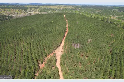 71 +/- Acres On US Hwy 278, Cedartown, GA 30125 - Photo 3