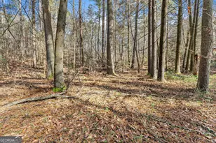 1036 Soque Wilderness Rd, Clarkesville, GA 30523 - Photo 13