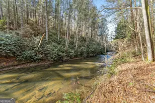 1036 Soque Wilderness Rd, Clarkesville, GA 30523 - Photo 3