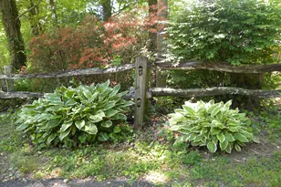 153 Will Zoellner Ln, Mountain City, GA 30525 - Photo 25