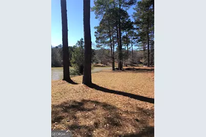 541 Pine Grove Church Road, Culloden, GA 31016 - Photo 73