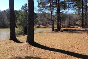 541 Pine Grove Church Rd, Culloden, GA 31016 - Photo 73