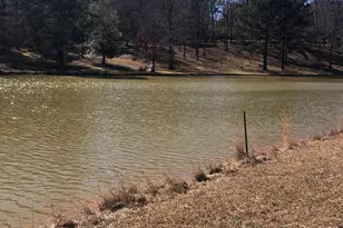 541 Pine Grove Church Rd, Culloden, GA 31016 - Photo 71