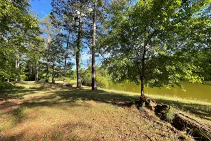 541 Pine Grove Church Rd, Culloden, GA 31016 - Photo 55