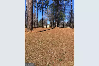541 Pine Grove Church Road, Culloden, GA 31016 - Photo 75