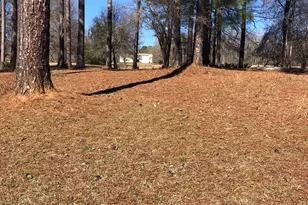 541 Pine Grove Church Rd, Culloden, GA 31016 - Photo 75
