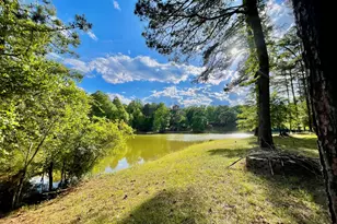 541 Pine Grove Church Rd, Culloden, GA 31016 - Photo 53