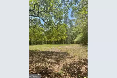 652 Picnic Lane, Townsend, GA 31331 - Photo 3