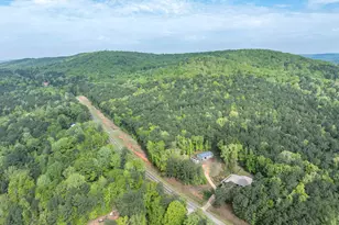 2083 Johnson Mill Rd, Hamilton, GA 31811 - Photo 29