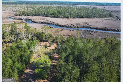 V/L 73 La Sole Lane, Waverly, GA 31565 - Photo 23