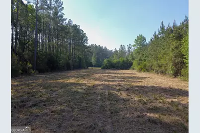 V/L 73 La Sole Lane, Waverly, GA 31565 - Photo 15