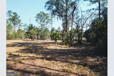 V/L 73 La Sole Lane, Waverly, GA 31565 - Photo 11