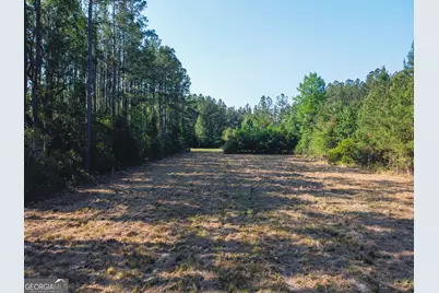 V/L 73 La Sole Lane, Waverly, GA 31565 - Photo 7